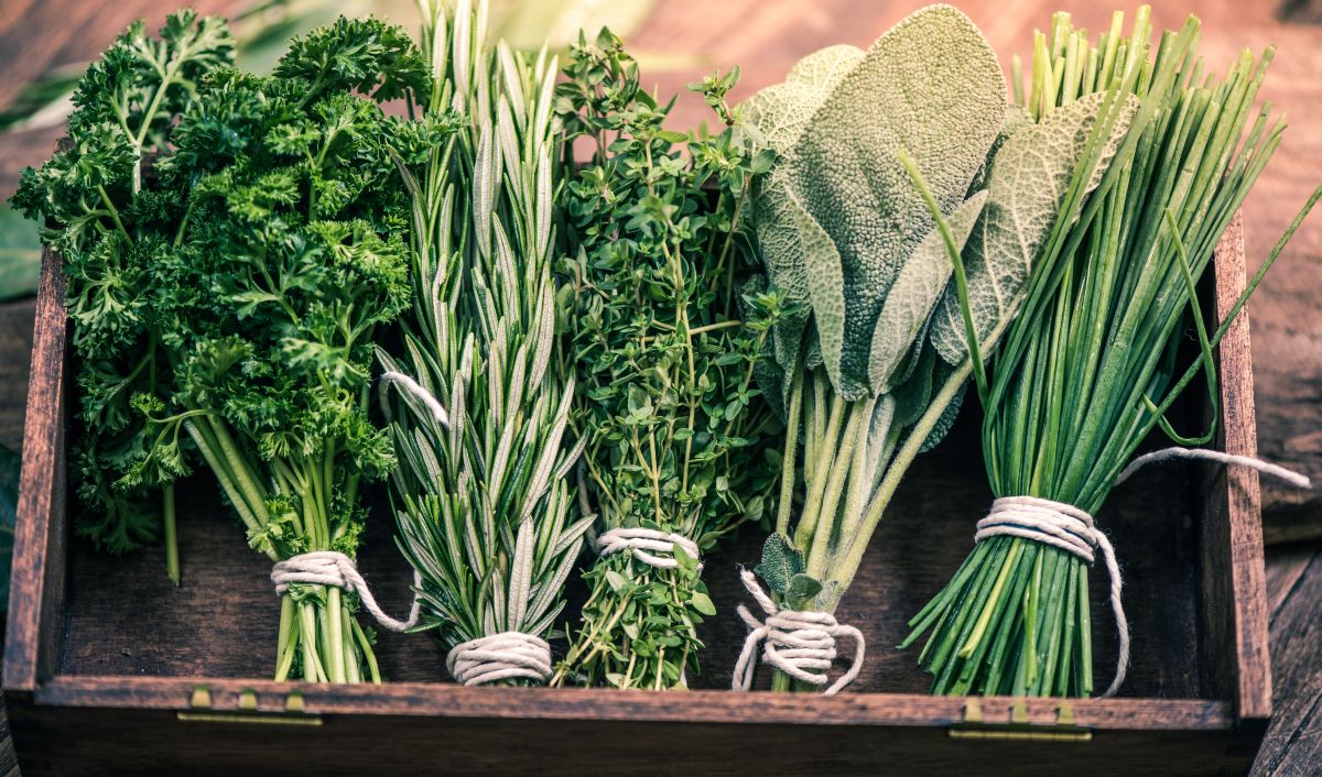 Herbs