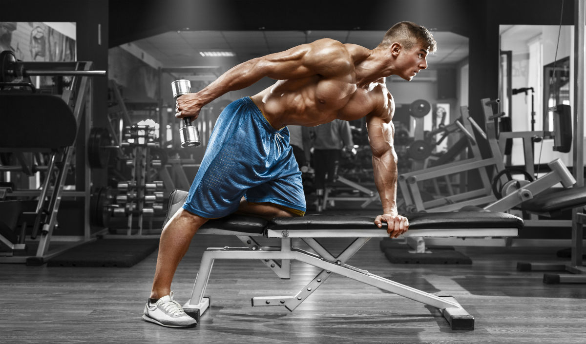 triceps